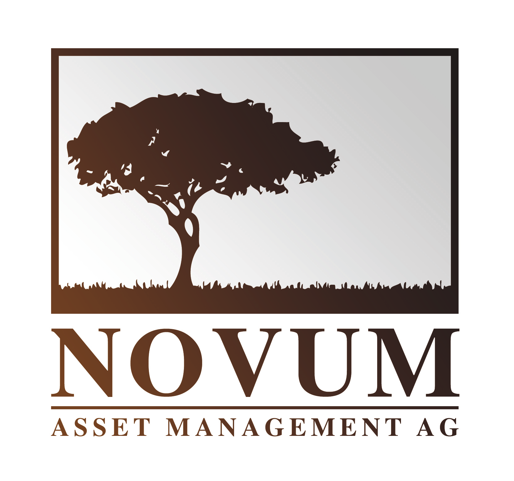 Novum Asset Management AG